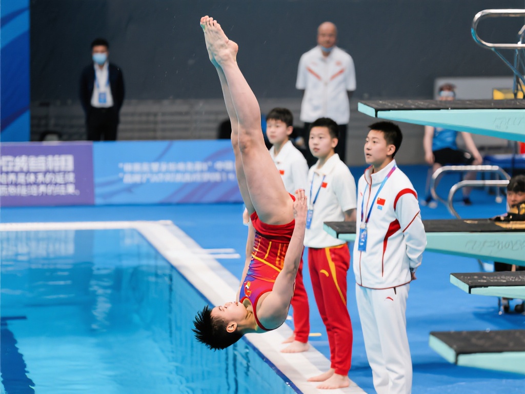 用户可以参 用户可以参