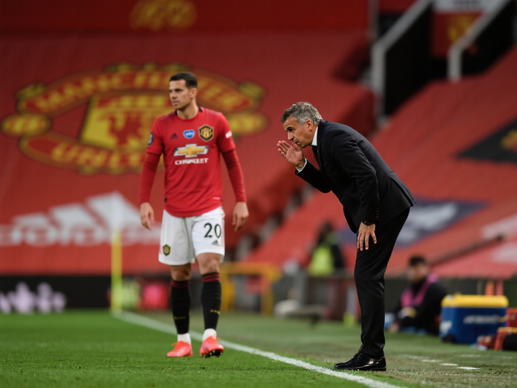 社交互动功 社交互动功