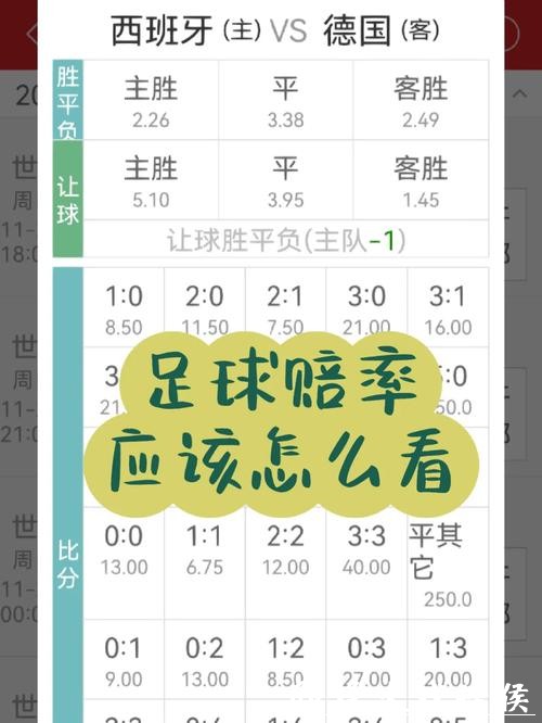 世界杯买球入口:实时赔率信息揭秘 世界杯买球入口:实时赔率信息揭秘